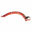 Kattleksak Moving snake