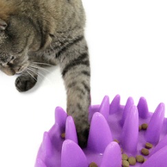 Kattmatskål