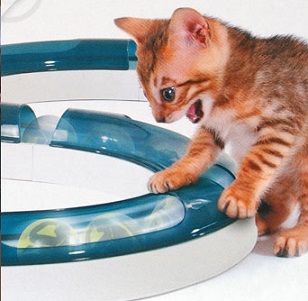 Kattleksaker cat It senses