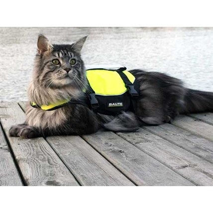Flytväst katt