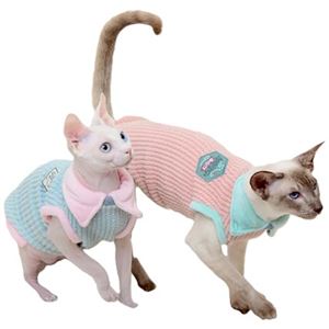 Kattkläder
