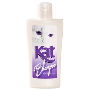 Kattschampo