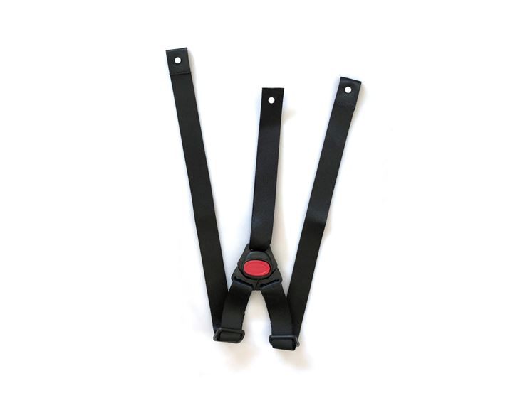 3-point belt for all models