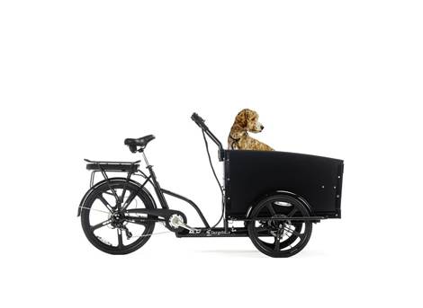 Cargobike Classic Dog Lådcykel