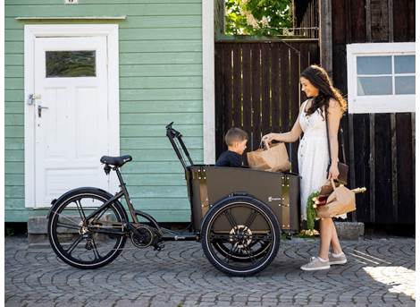 Cargobike Delight ladcykel