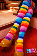Margot Stockings Rainbow Panorama