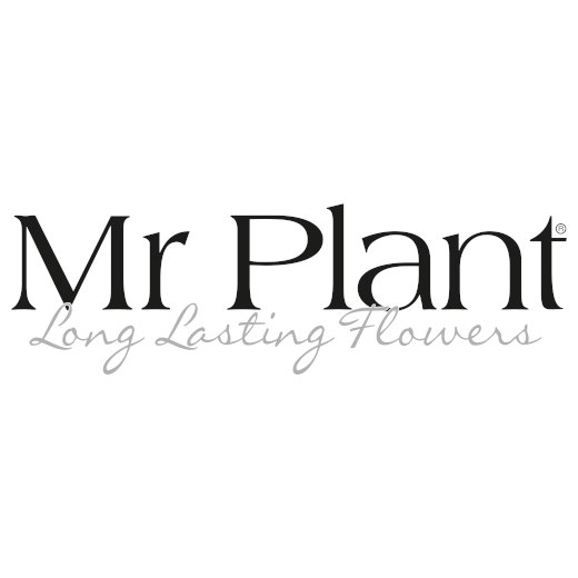 Mr Plant - Offertförfrågan