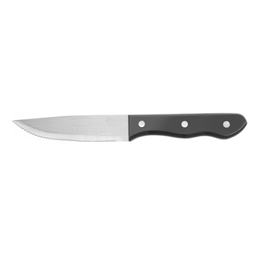 Grillkniv Profi Line XL, rostfritt stål, ABS, 25 cm, 6-pack