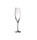 Champagneglas Penelopé, 17 cl