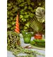 Tumbler Duralex Picardie 25 cl, grön