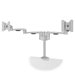 Monitorarm Hold Dual Monitor Arm 27, 2 skärmar, 2x14 kg