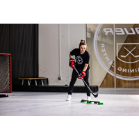 Bauer Mailankäsittelylaite Extendible Stick Handling Dangler