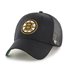 BOSTON BRUINS