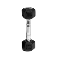 Abilica Hex Dumbbell 2 Kg