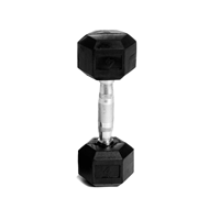 Abilica Hex Dumbbell 4 Kg