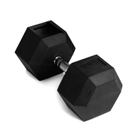 Abilica Hex Dumbbell 22,5 Kg