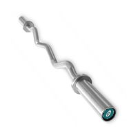 Master Fitness Curl Bar Silver