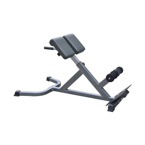 Master Fitness Training Bench Back Trainer Silver I