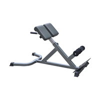 Master Fitness Training Bench Back Trainer Silver I