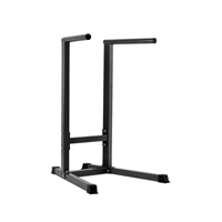 Master Fitness Kroppsvektstrening Dipsstativ Dip Rack