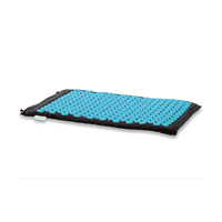 Gymstick Active Spike Mat