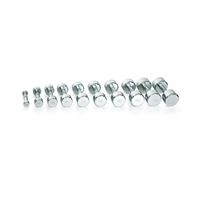 Gymstick Pro Chrome Dumbbell - Single