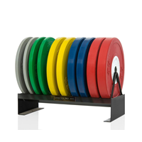 Gymstick Pro Rack für Gewichtsscheiben Viktskivor