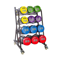 Gymstick Rack For Fitness Bags