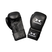 Hammer Boxing Gloves Premium Training