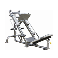 Impulse 45 Leg Press