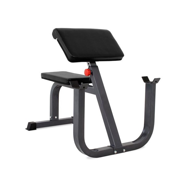 Master Fitness Preacher Curl Silver