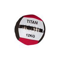 Titan Life Large Rage Wall Ball