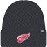 DETROIT RED WINGS
