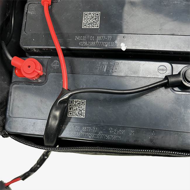 Nitrox Legend 1500W - Battery Set 48V 20Ah with Bag and Bolts