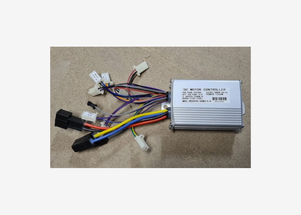 Elektronikbox 1000W 48V Dirt