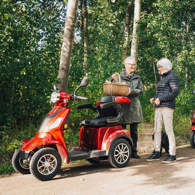Skand Promenadscooter Skand Leijona 1400