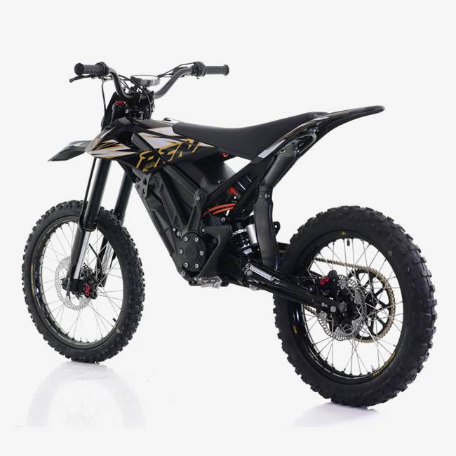 RFN RS Rally Pro 10000W dirtbike