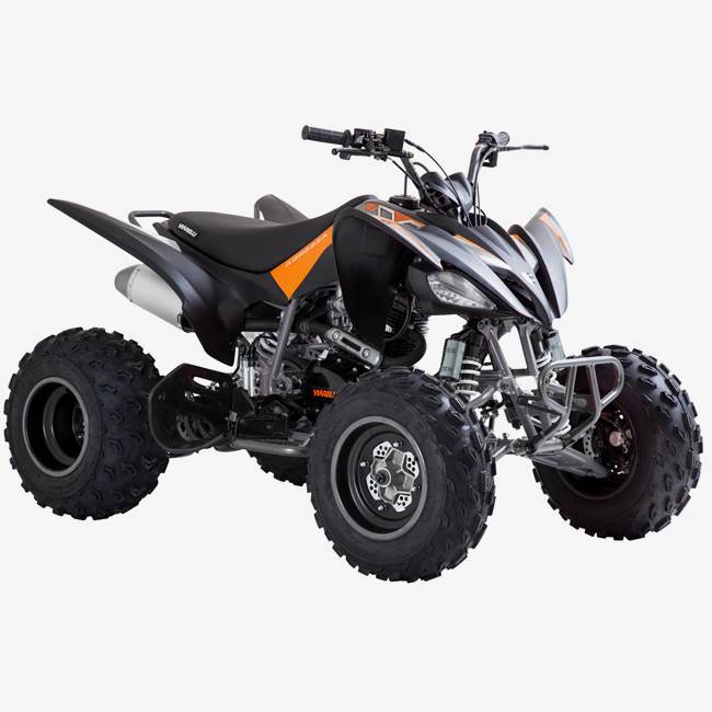 Viarelli Fyrhjuling Viarelli Agrezza ATV 250cc med back - 90 km/h