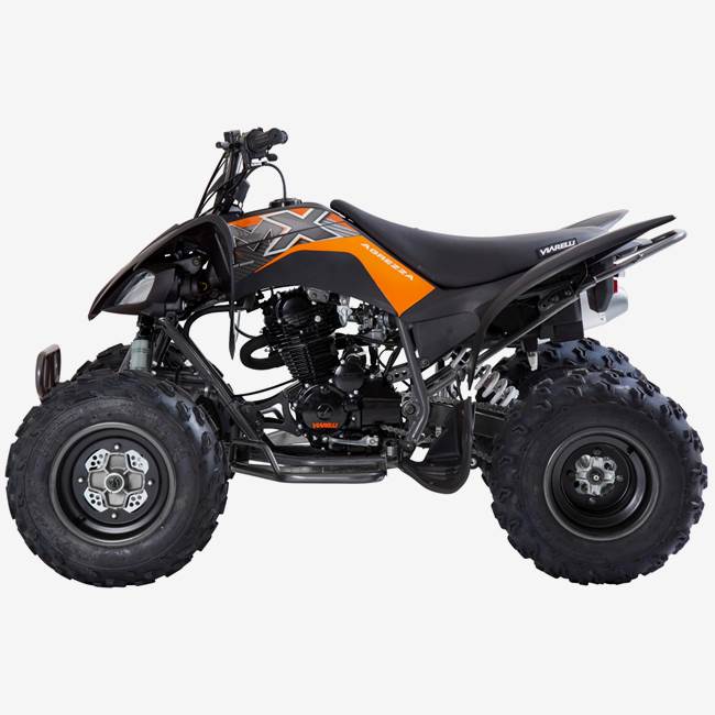 Viarelli Fyrhjuling Viarelli Agrezza ATV 250cc med back - 90 km/h