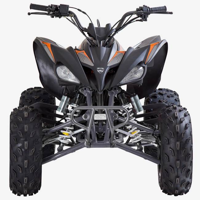 Viarelli Fyrhjuling Viarelli Agrezza ATV 250cc med back - 90 km/h