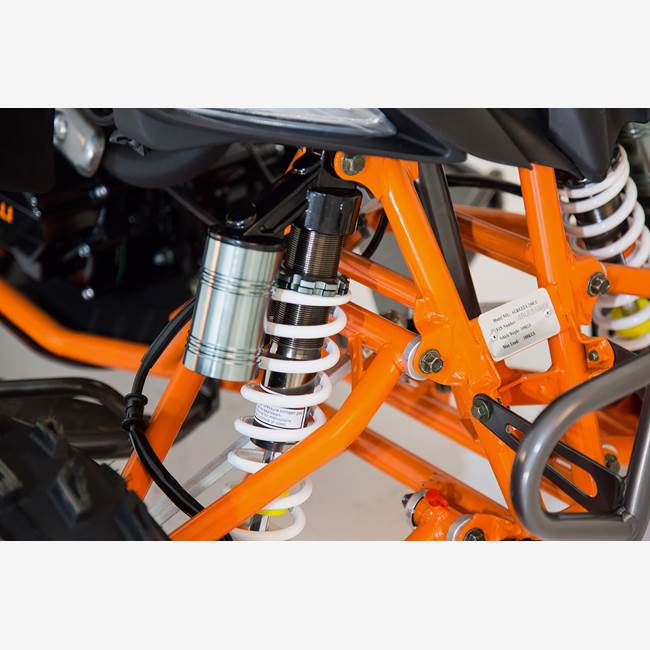 Viarelli Fyrhjuling Viarelli Agrezza ATV 250cc med back - 90 km/h