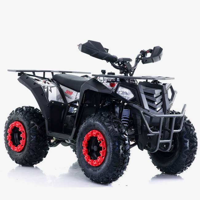 Viarelli Fyrhjuling Viarelli Hunter 150cc 10" 60 km/h
