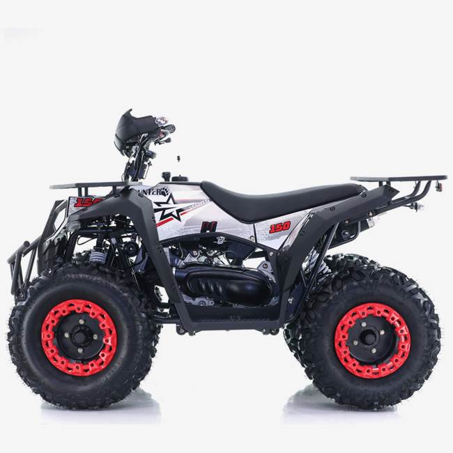 Viarelli Fyrhjuling Viarelli Hunter 150cc 10" 60 km/h