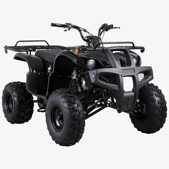 X-Pro ATV X-Pro Worker 150cc - Svart