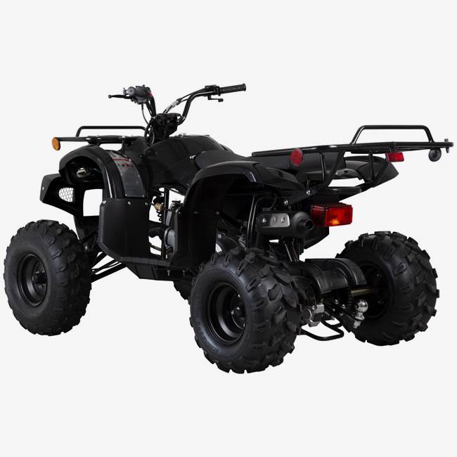 X-Pro ATV X-Pro Worker 150cc - Svart