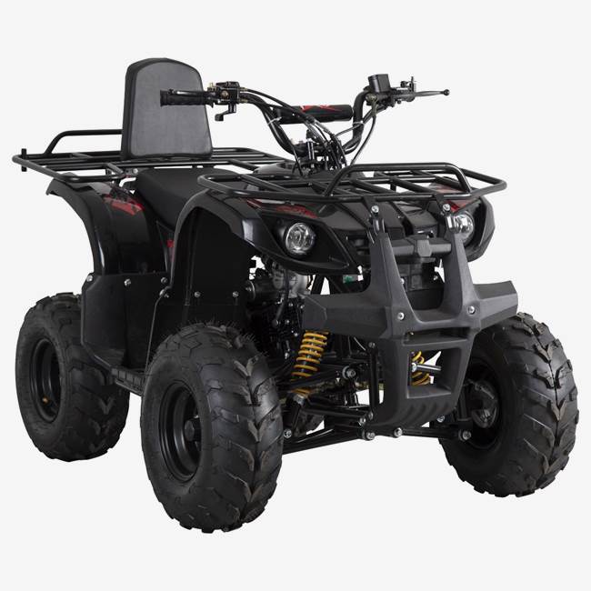 X-Pro ATV X-Pro Worker 110cc - Sort