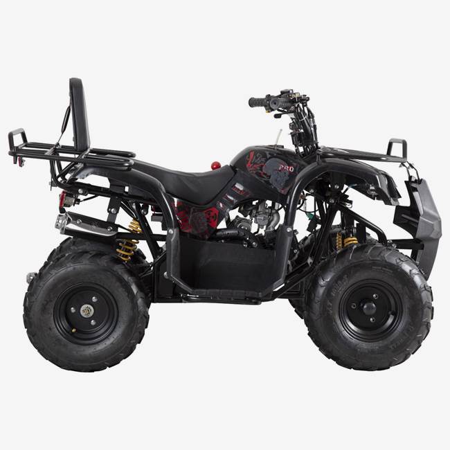 X-Pro ATV X-Pro Worker 110cc - Sort