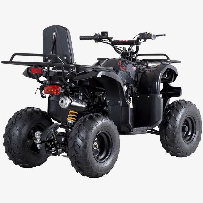 X-Pro ATV X-Pro Worker 110cc - Sort