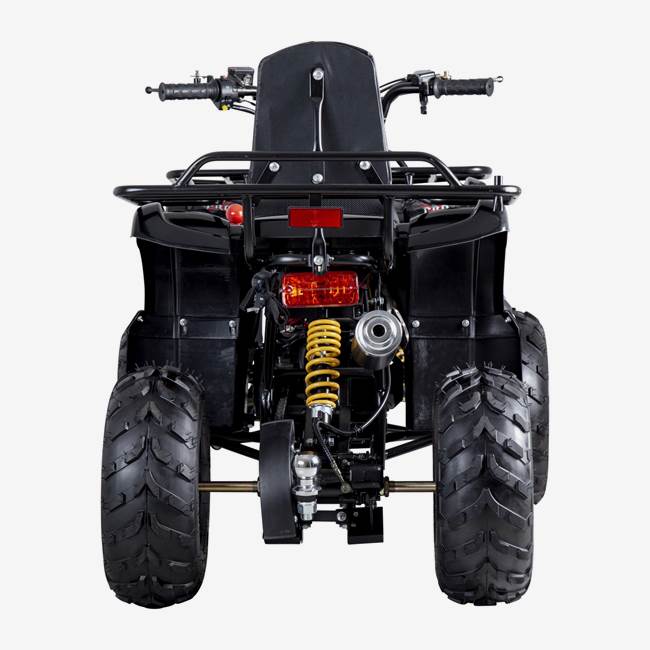 X-Pro ATV X-Pro Worker 110cc - Sort