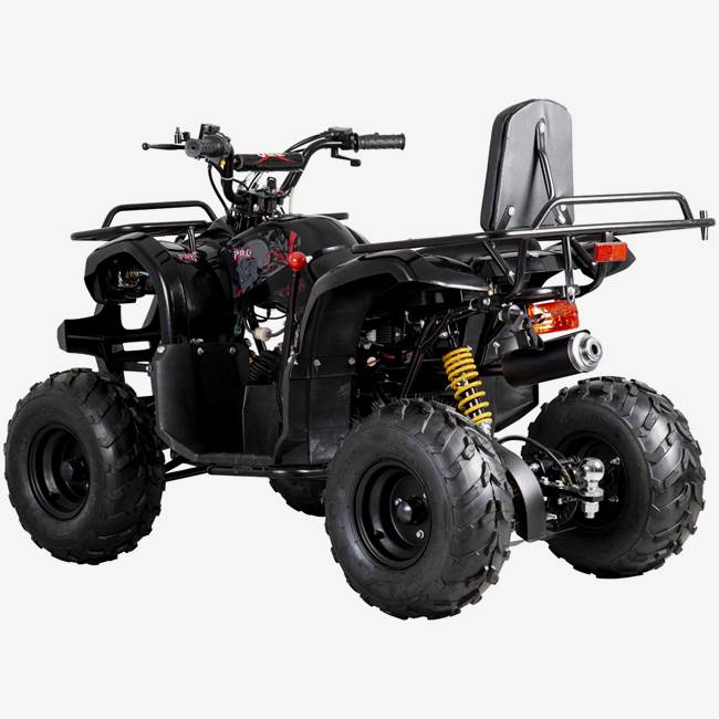 X-Pro ATV X-Pro Worker 110cc - Sort